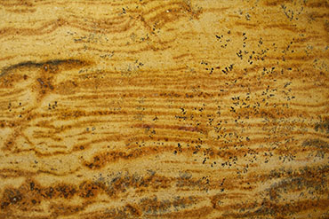 Golden River